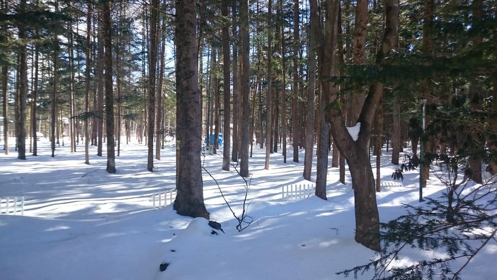 Pension Candytuft Karuizawa Exterior foto